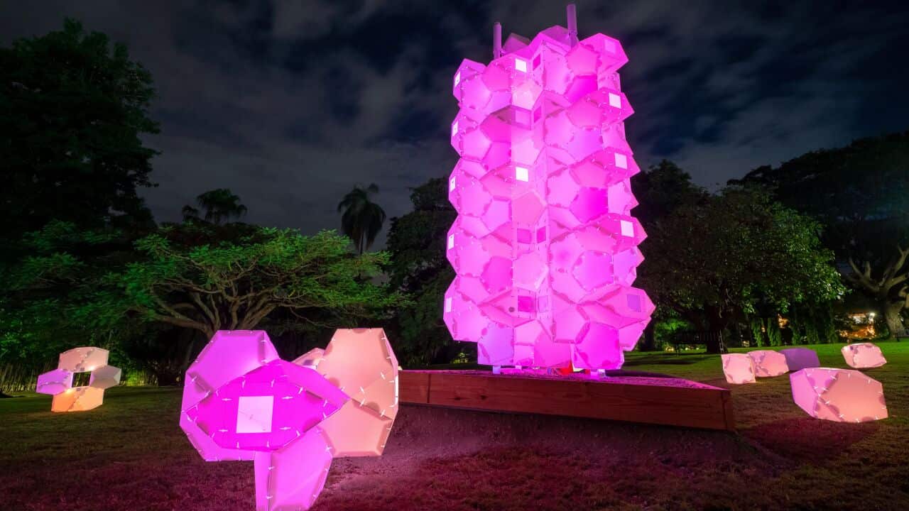 Light Lilies - Noa Haim and Adriaan de Man - Botanica 2023