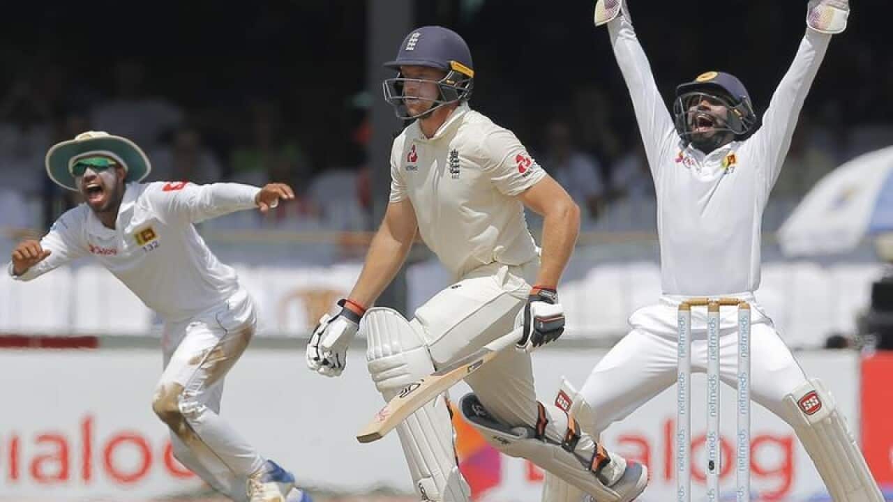 cricket