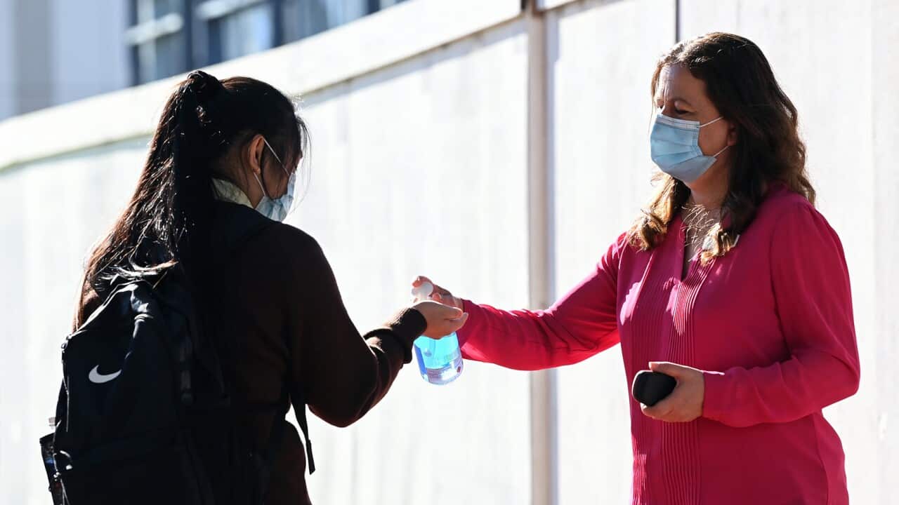 A student applies hand sanitiser in NSW