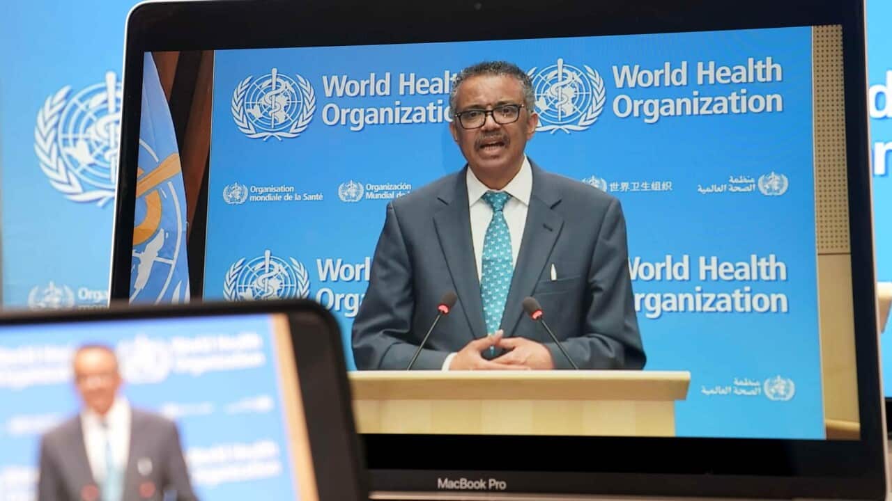 WHO Director-General Tedros Adhanom Ghebreyesus at the World Health Assembly via video conference