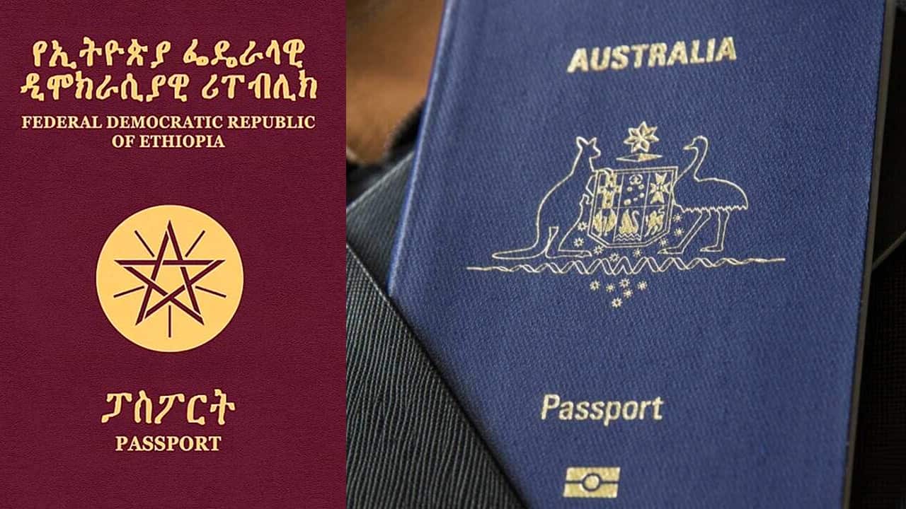 Passports.png