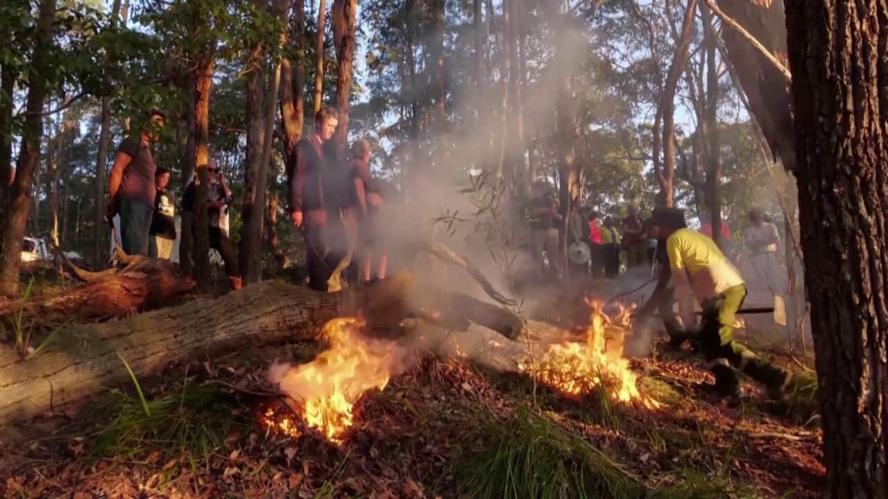 Working on a cultural burn at Billen Cliffs Village, NSW (Reuters).jpg