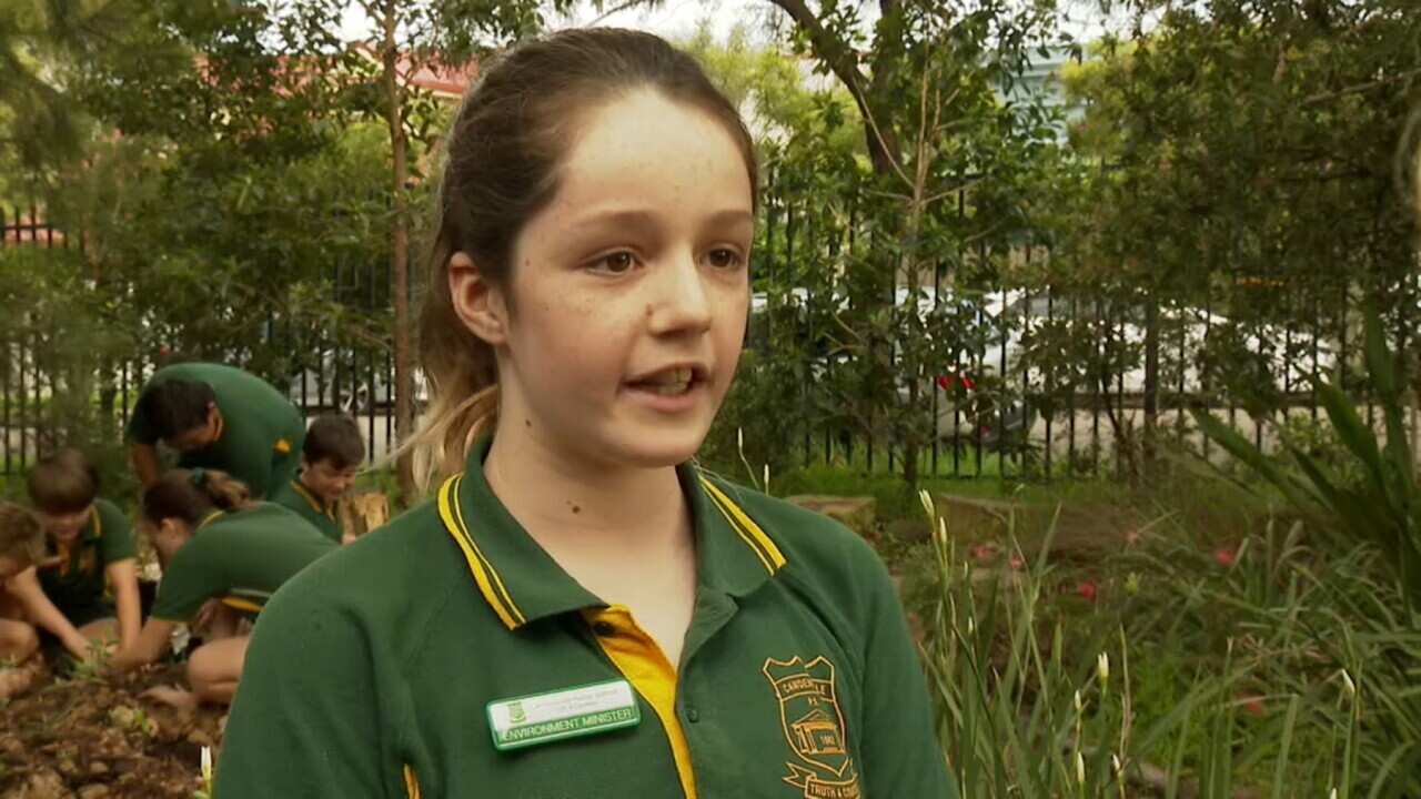Catriona Gahan from Camdenville Public School