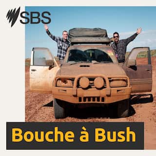 SBS-Podcasts_Bouche_a_Bush_3000x3000px.jpg