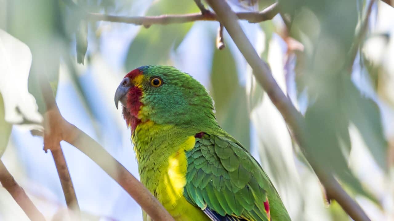 Image for read more article 'READ MORE'