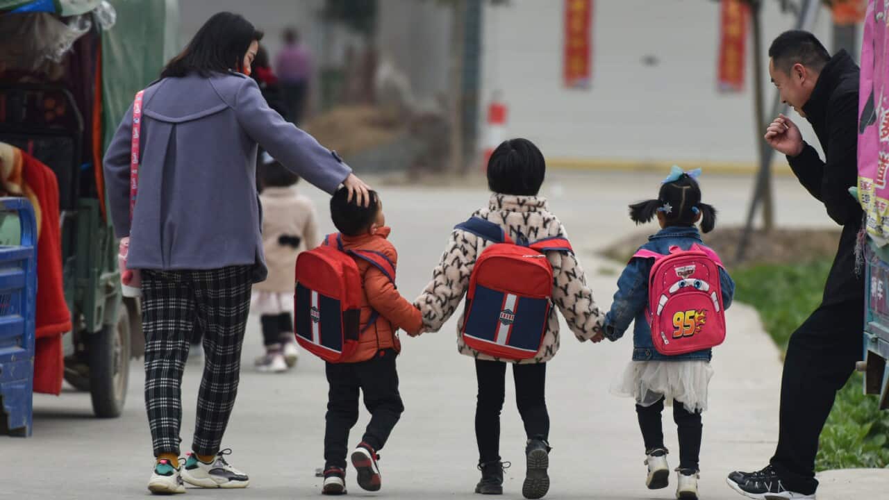 Image for read more article ''