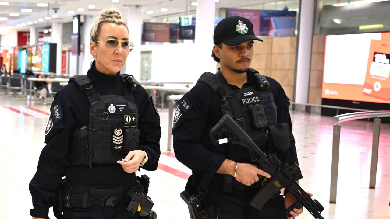 ISIS BRIDES RETURN