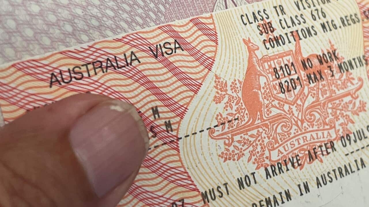 Australian visitor's visa (SBS).jpg