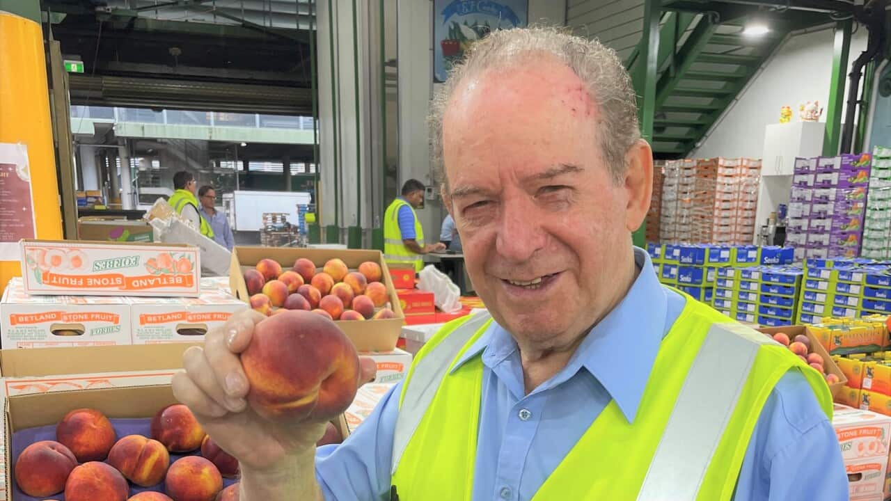 Anthony Antico at Sydney Markets