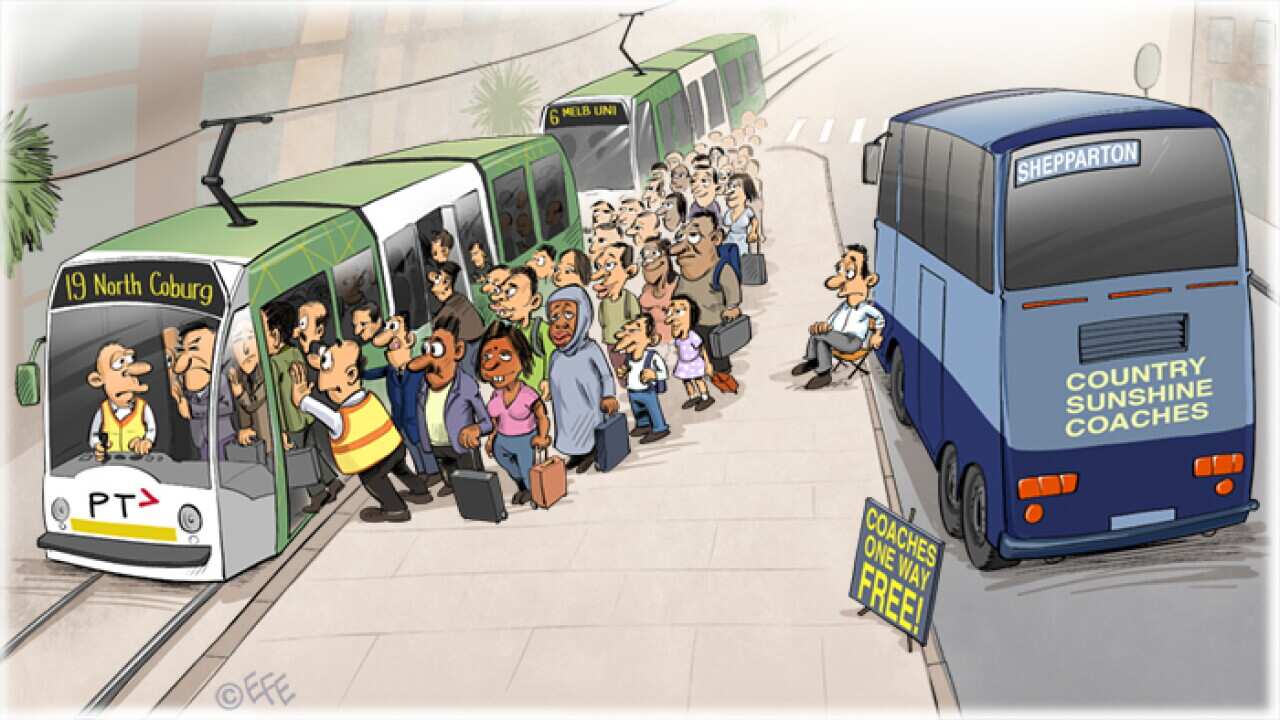 Trum bus