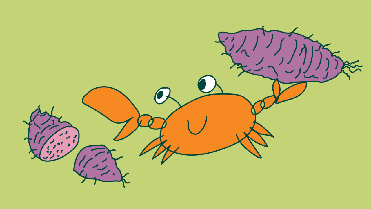 SBS Podcast_For the Culture_Ep 2_WEB BANNER.png