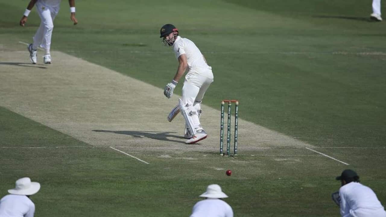 cricket