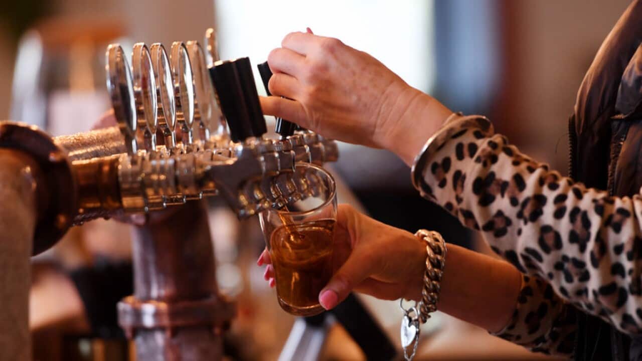 A barmaid pours beer.
