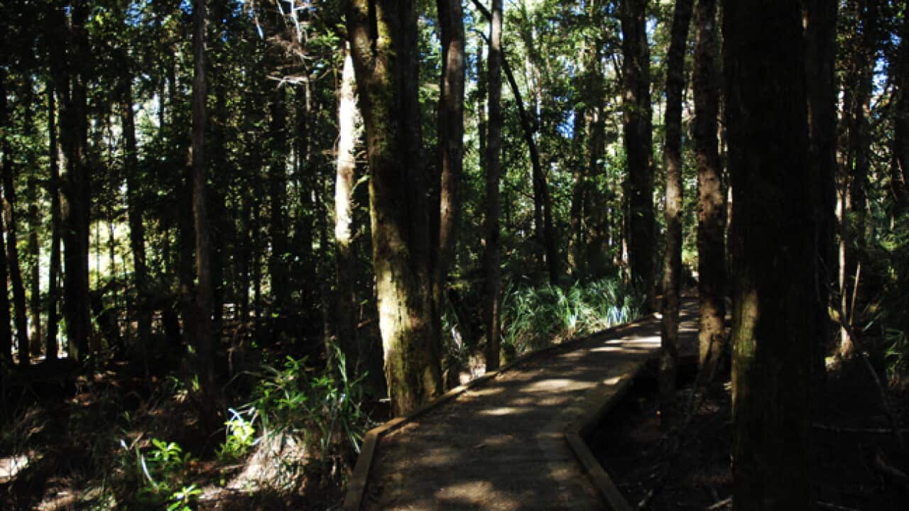 tarkine_aap_130717_b_628855751