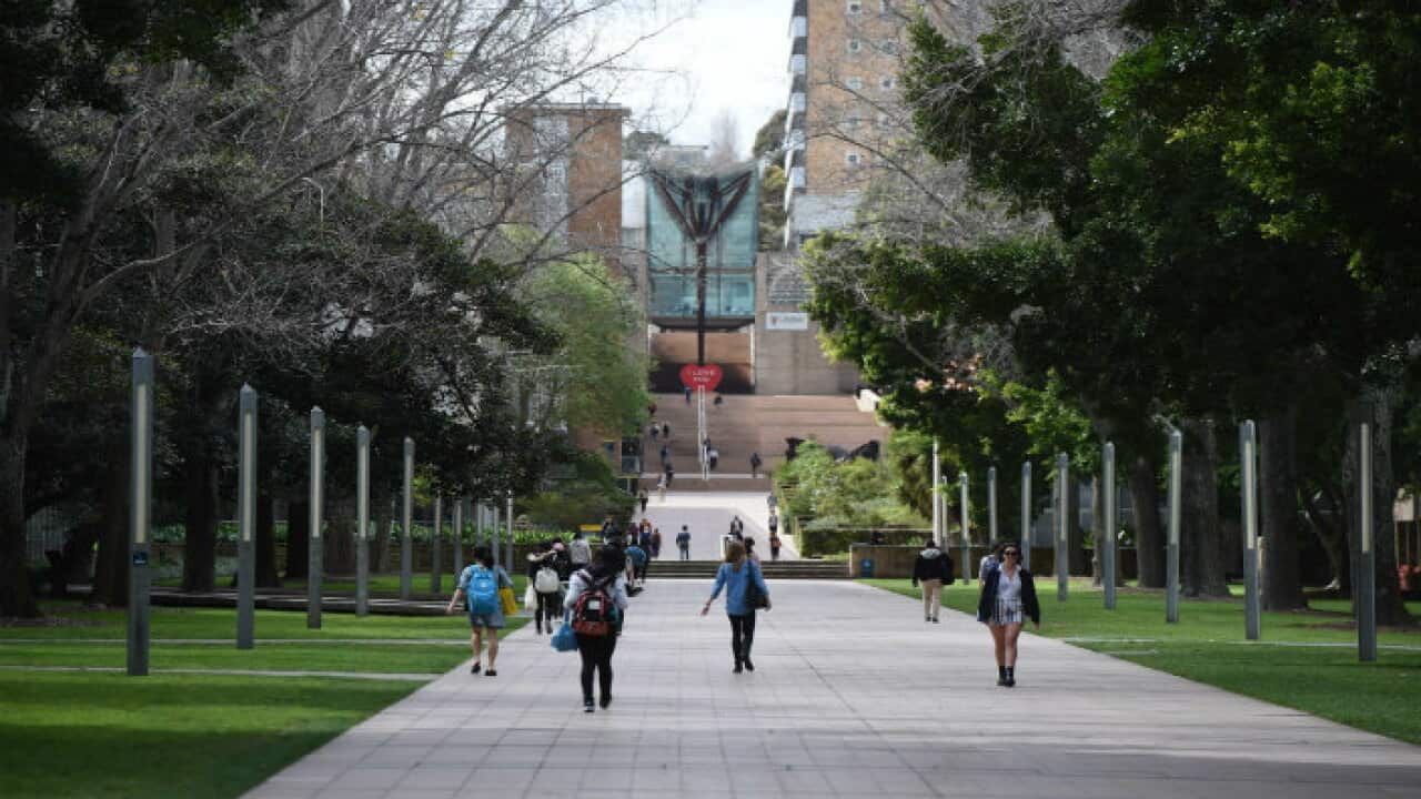 A university campus