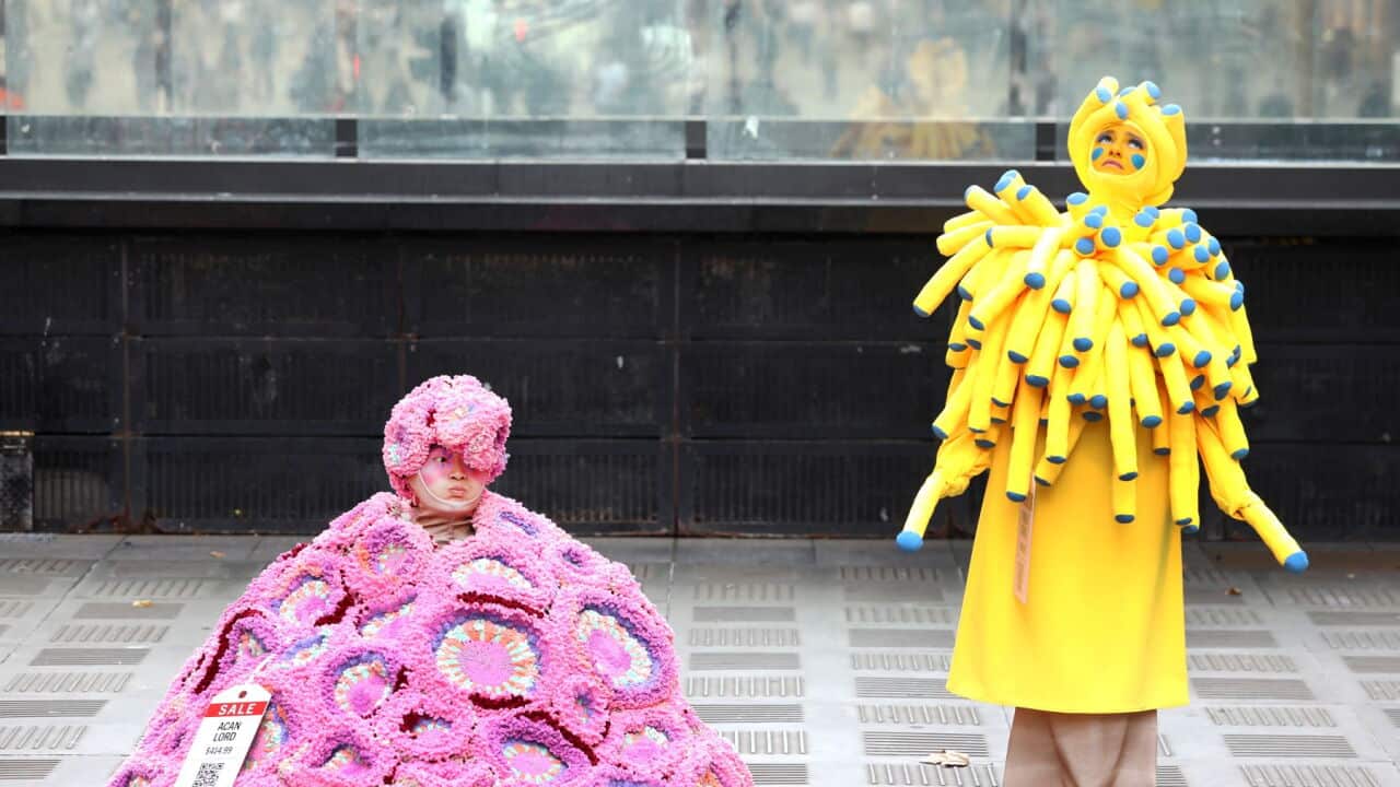 Activist dressed as wild coral performing during the launch of an Australian Marine Conservation Society campaign (AAP Image-Jane Dempster) .jpg