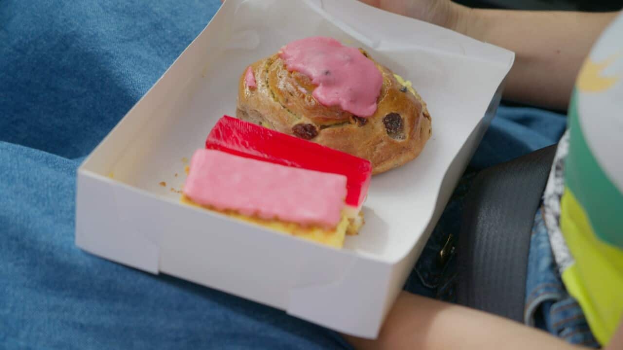 Slices in box on Poh's lap.jpg