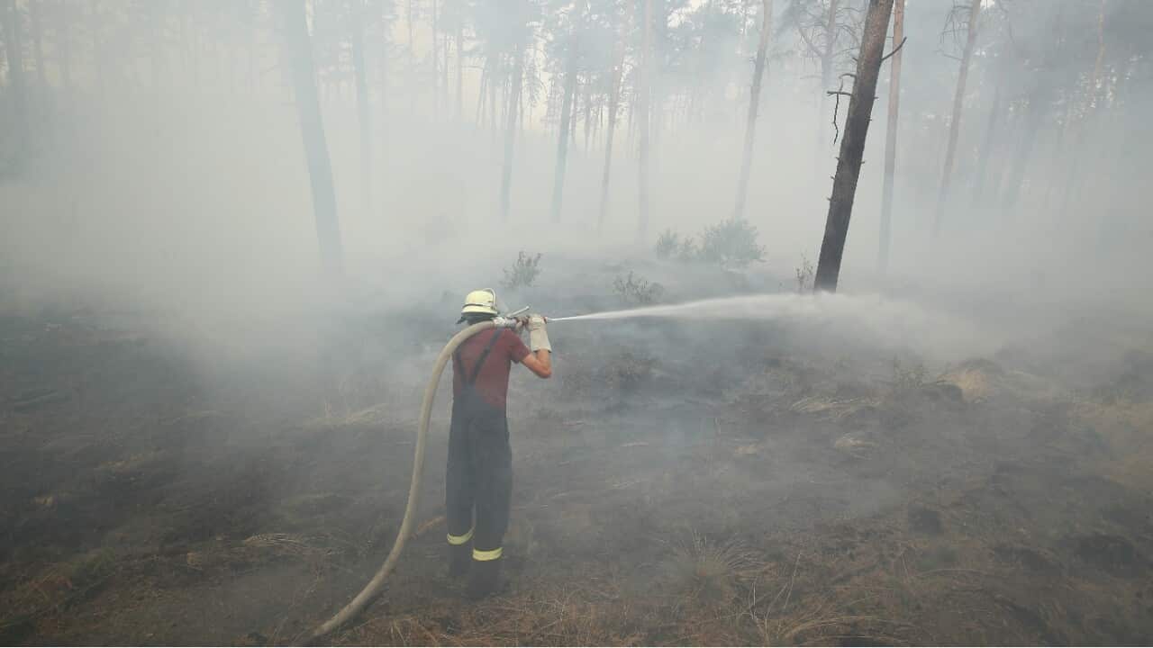A fireman stands among smoke as he extinguishes flames in a section of burning forest in southern Brandenburg state on August 24, 2018