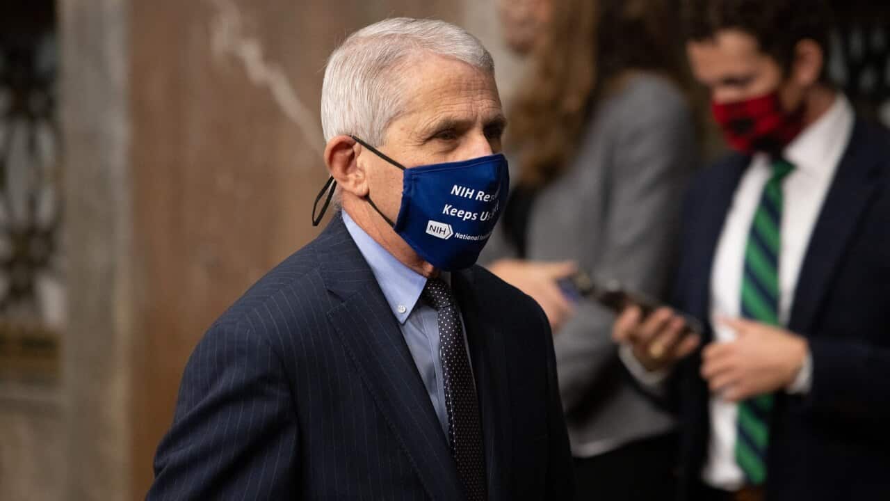 Dr Anthony Fauci arrives at a US Senate Health Committee