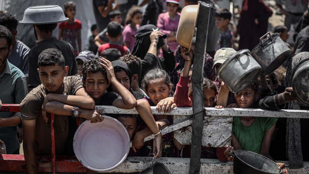 Children and families hold out empty pots while waiting for food aid at a crowded distribution point.