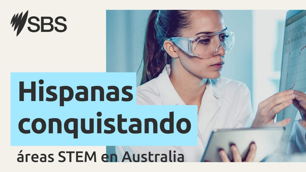 SBS Web Banner Spanish IWD (LTR).jpg