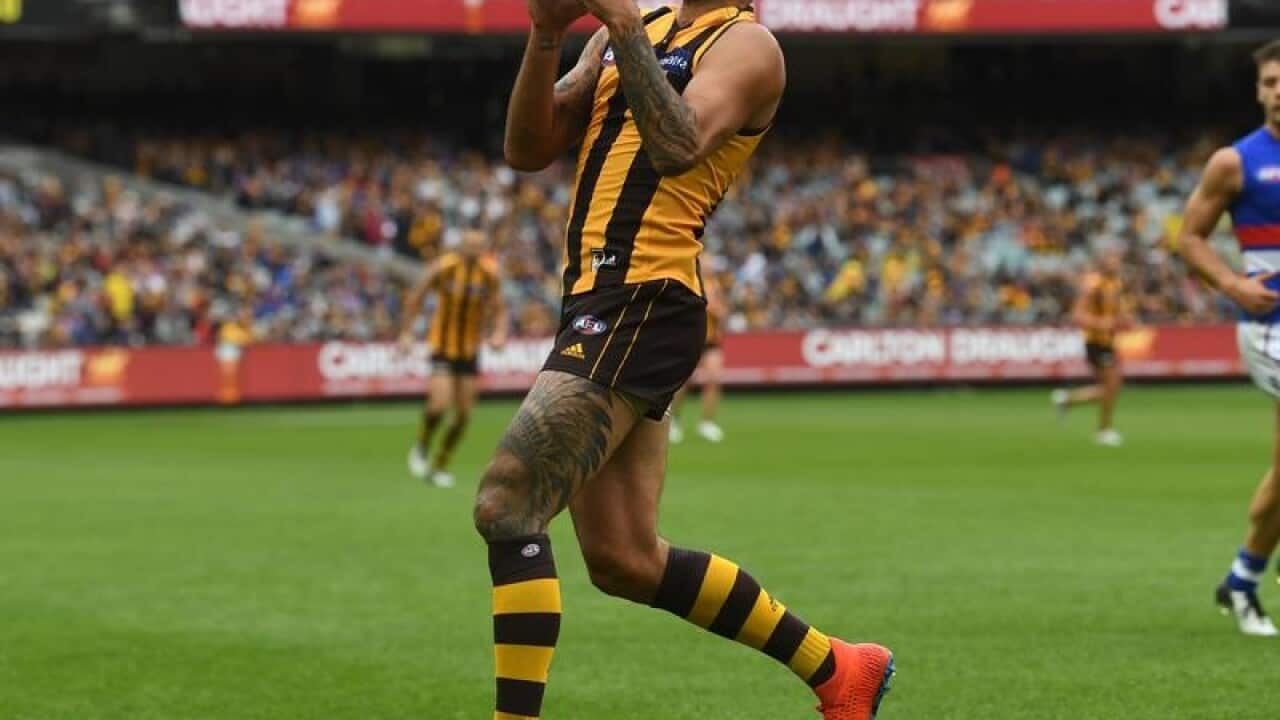 Hawthorn star Shaun Burgoyne