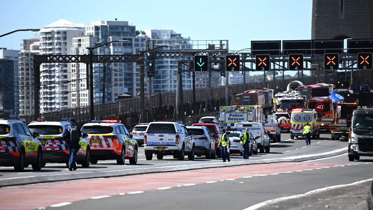 Emergency services respond to a multi-vehicle collision on the Sydney Harbour Bridge.