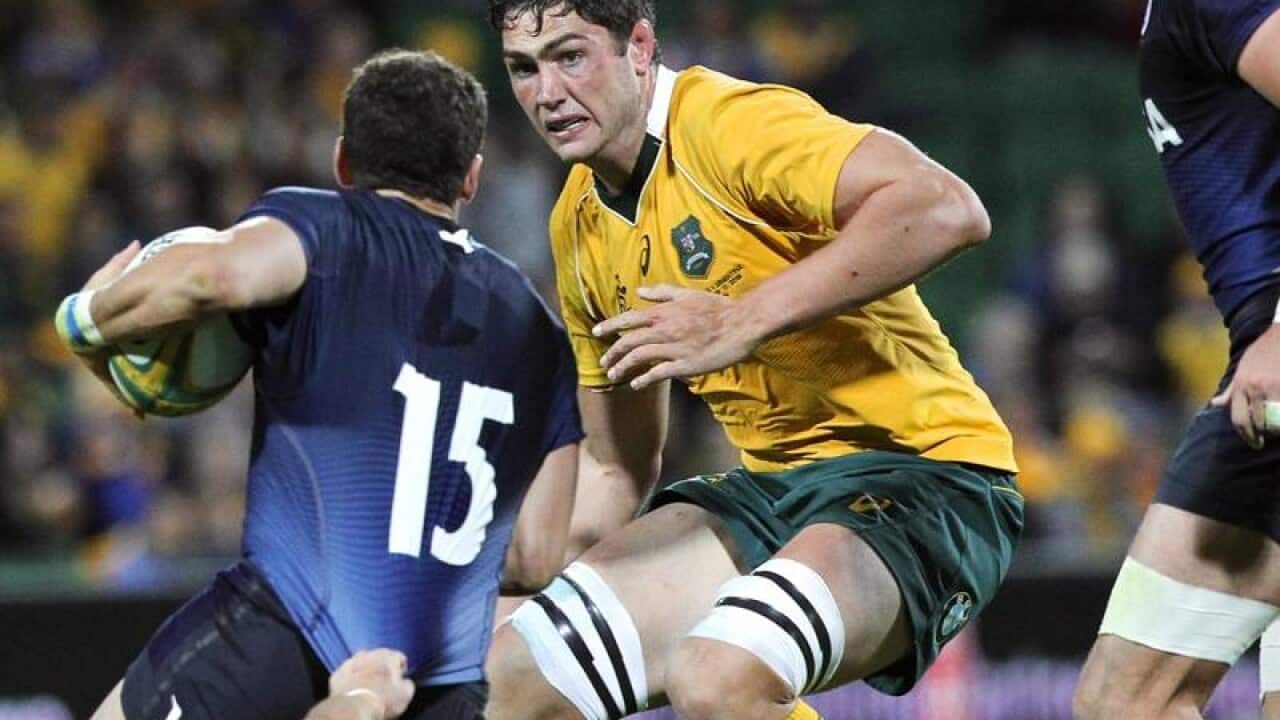 Waratahs