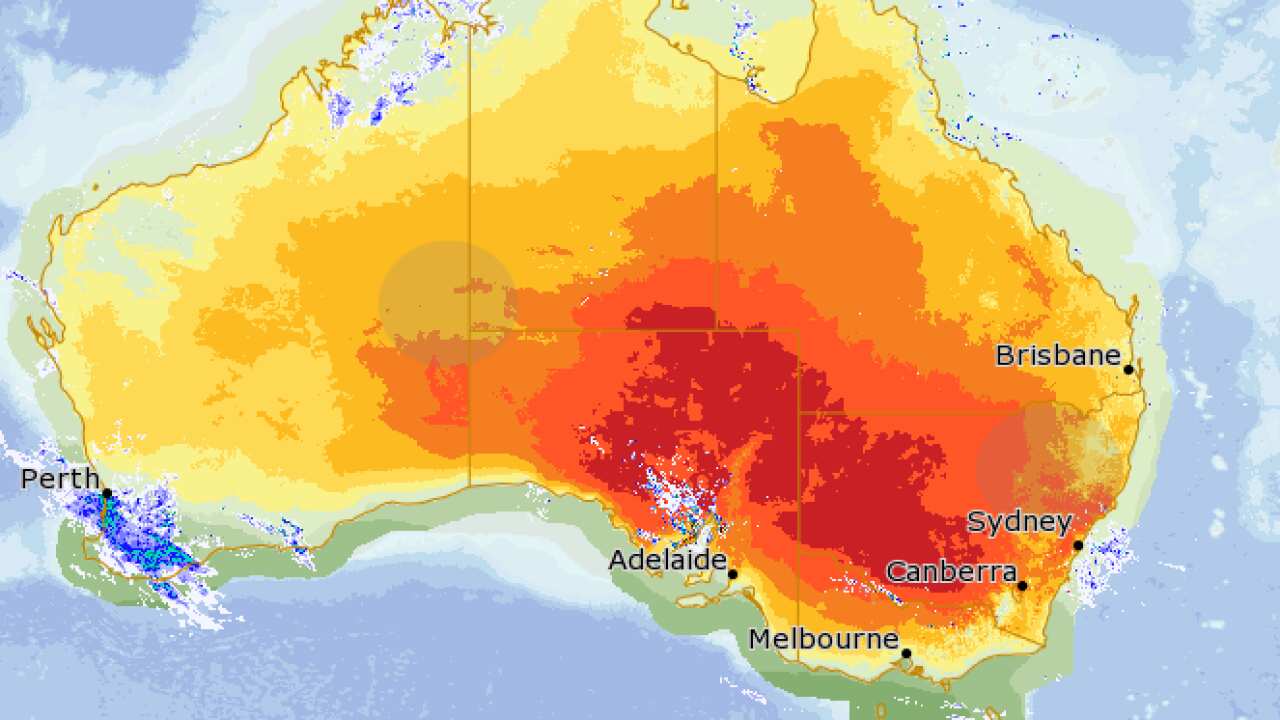 Today's heatmap from the Bureau of Meteorology showing deep read in Adelaide, Sydney and Canberra.