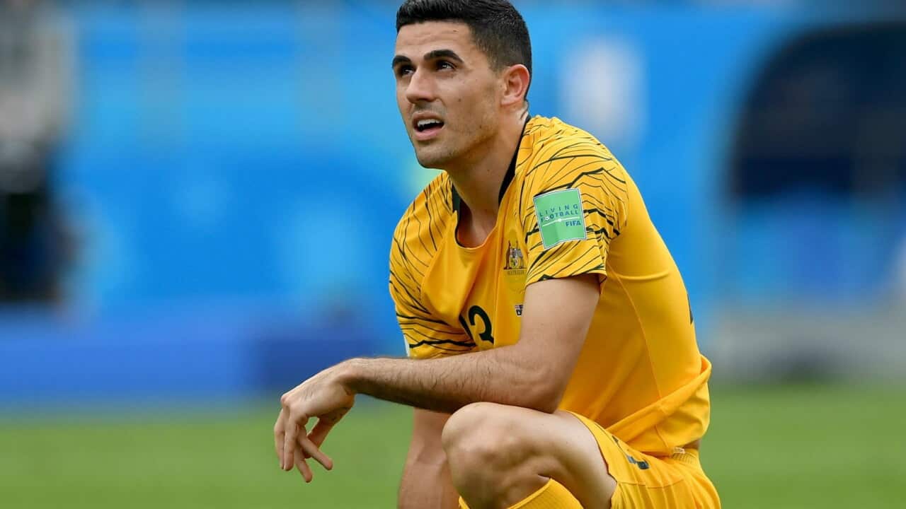 Tom Rogic