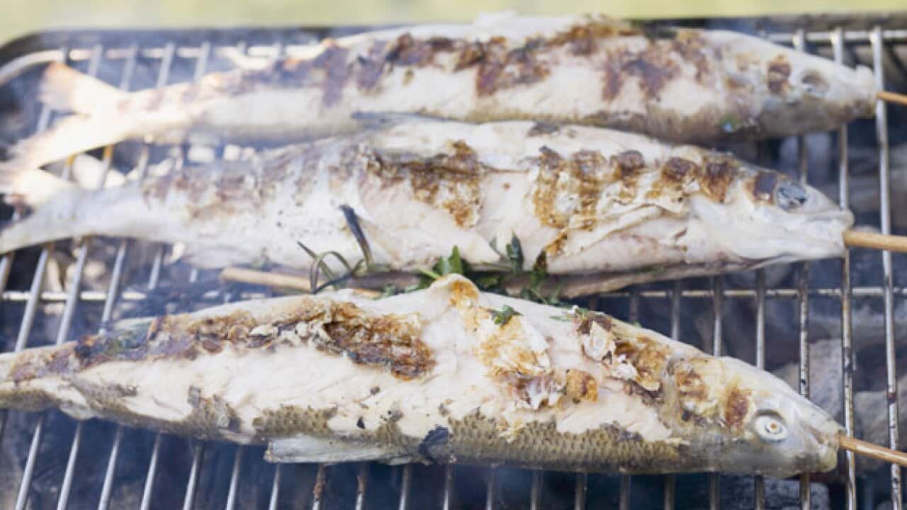 Steckerlfisch-(Grilled-trou_977316403