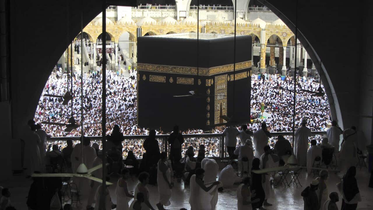 Saudi Virus Pilgrims