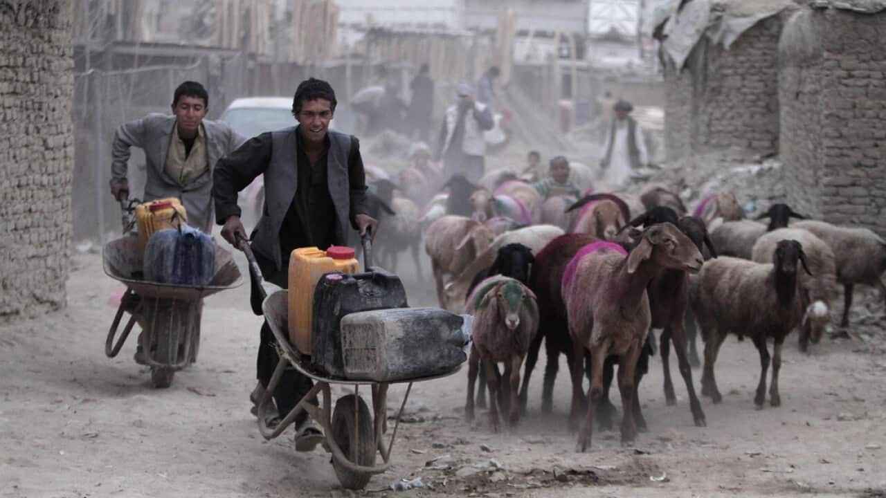 Afghan refugees push containers of water near their temporary homes on the outskirts of Kabul.