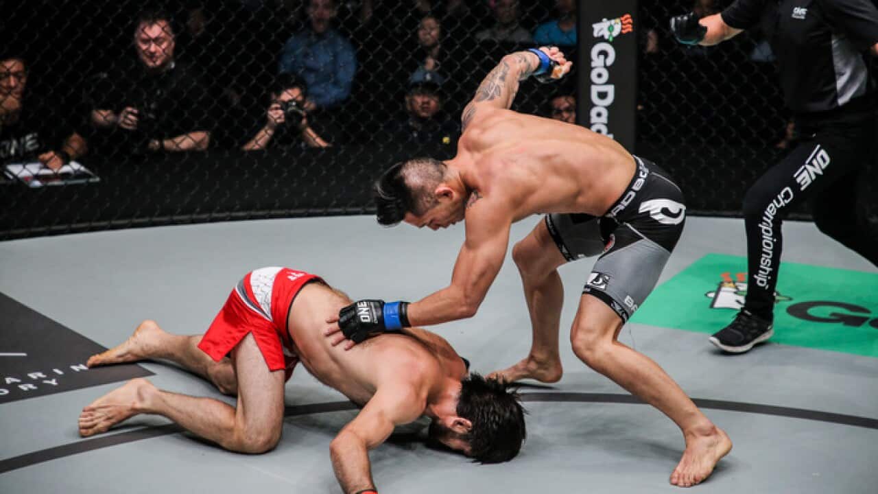 Image for read more article 'READ MORE'