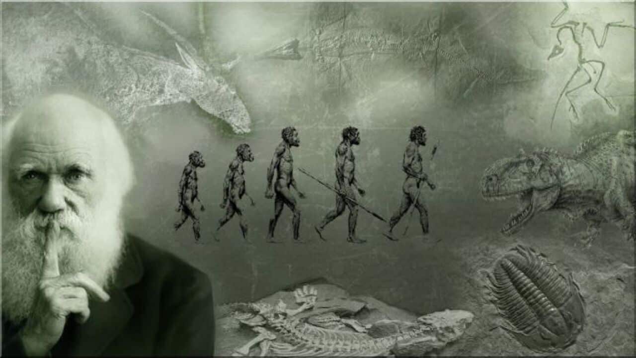 Was that the evolution of Charles Darwin?