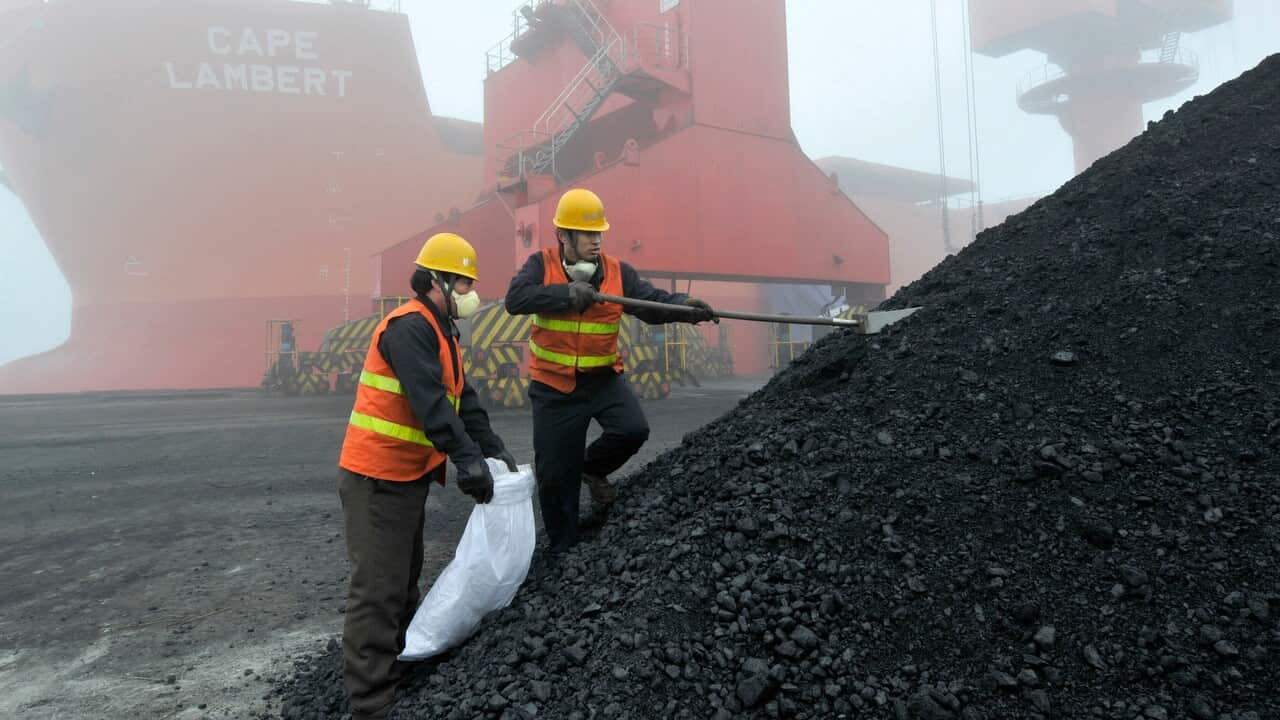 Inspection and quarantine workers take samples of imported coal at a port in Rizhao in eastern China's Shandong province.  