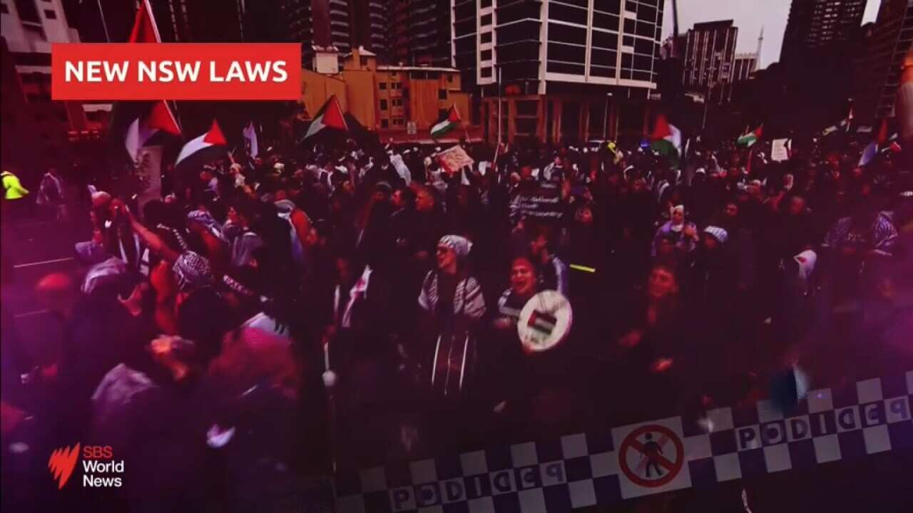Fgun NSW state gun laws are now Australia's toughest I SBS News | SBS News