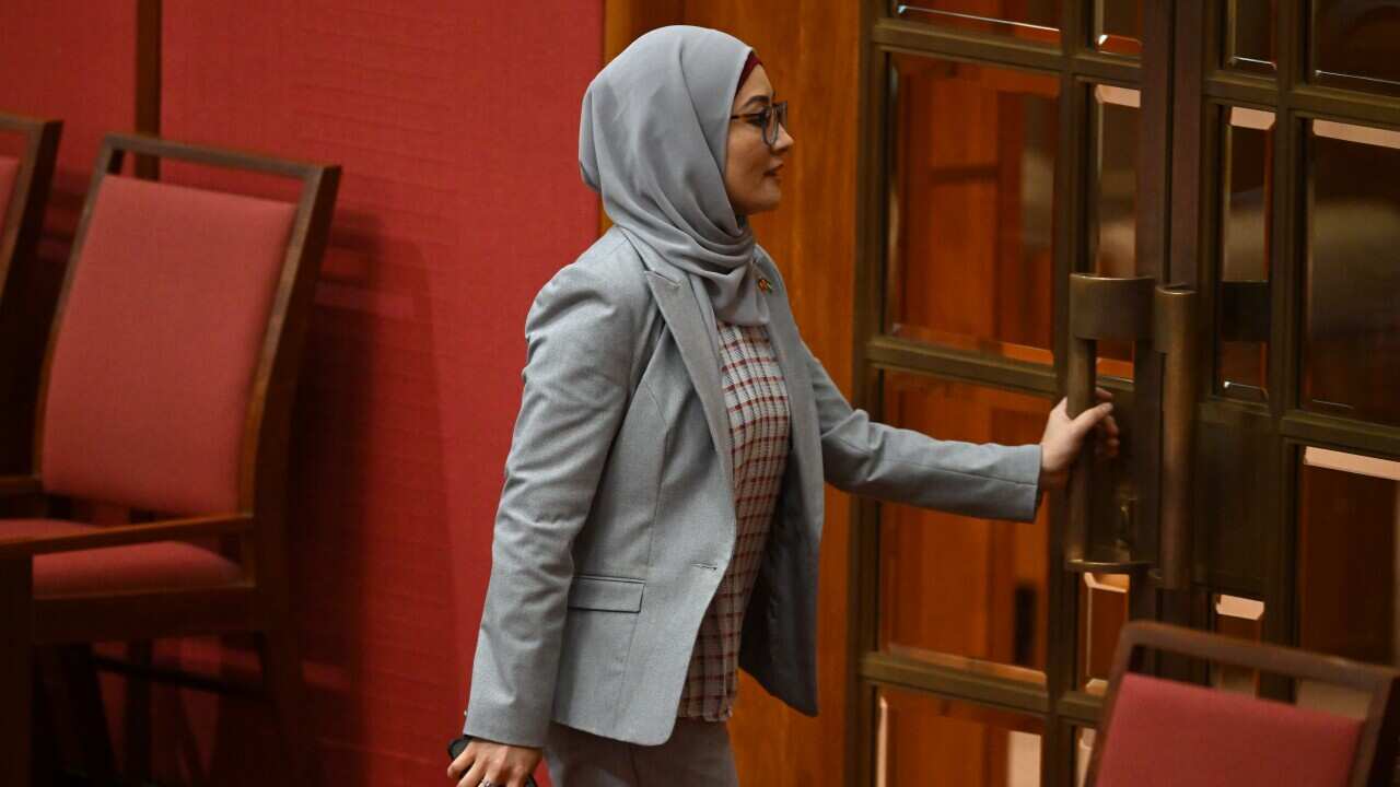 SENATE PALESTINE MOTION