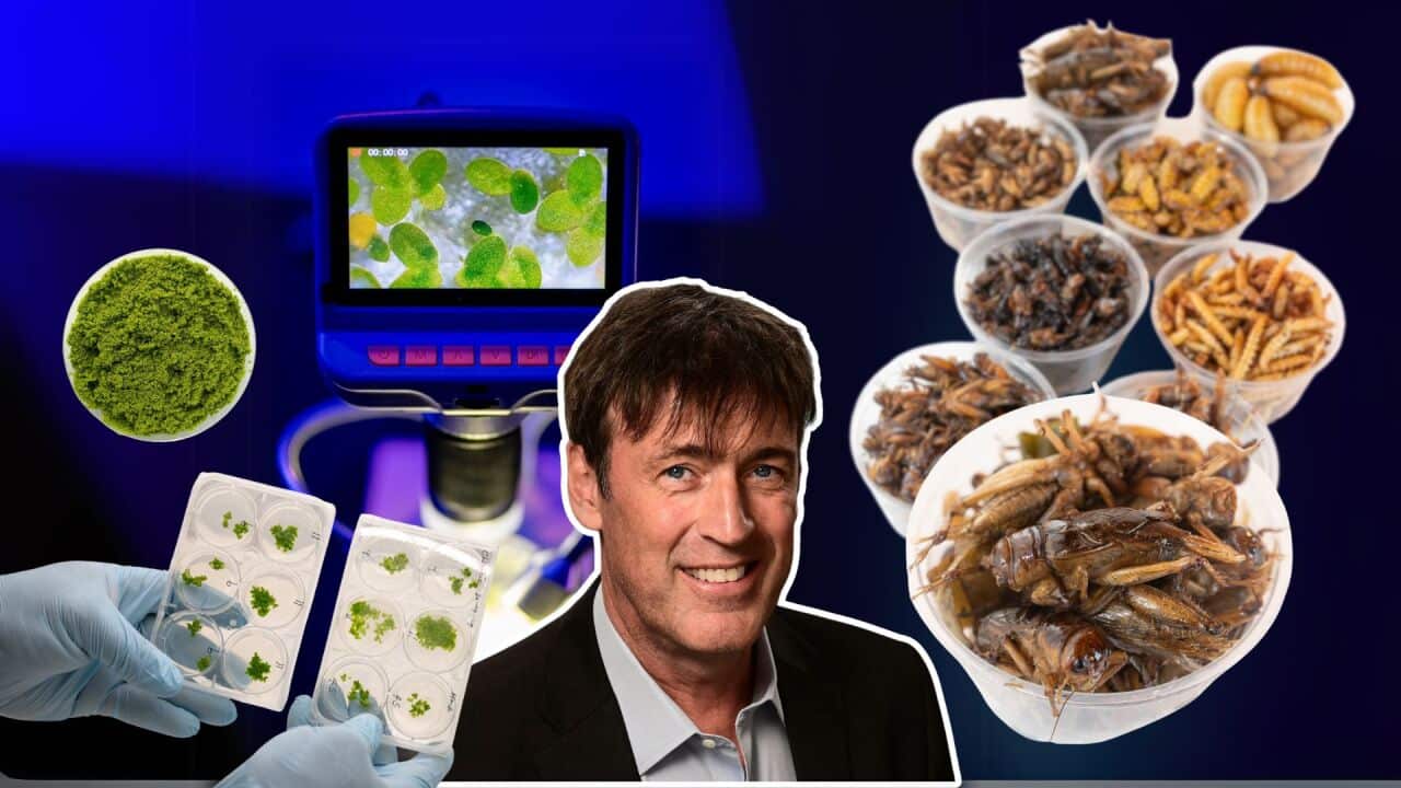 Untitled design (1).jpg