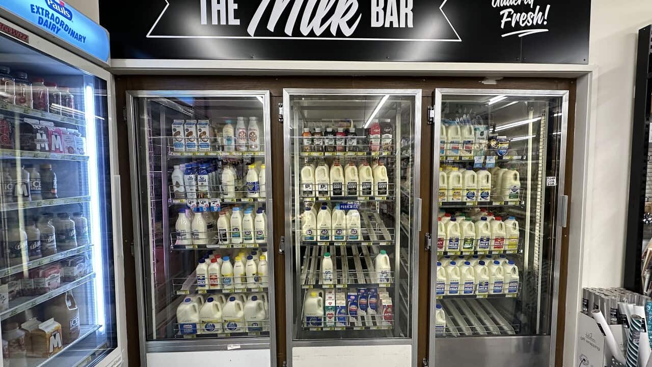 DAIRY Fridge