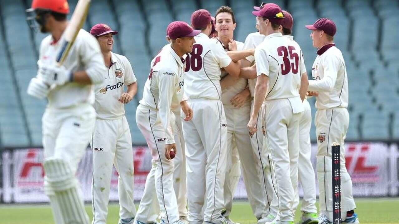 Queensland's Jack Wildermuth celebrates Travis Head's dismissal