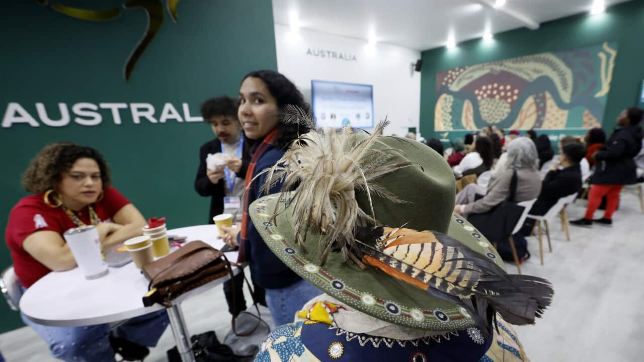 UN Climate Change Conference COP29