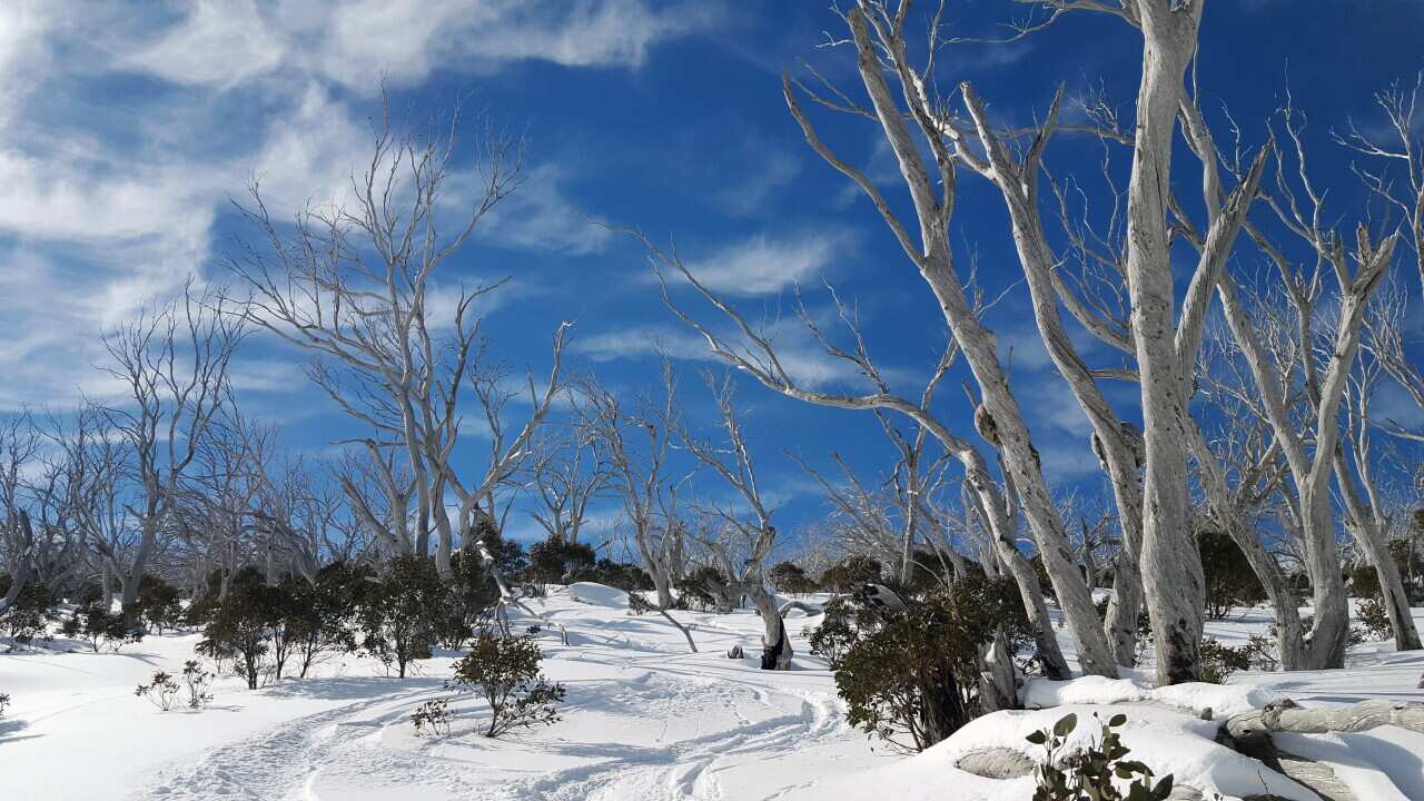 A man and his daughter have become lost in deep snow at Thredbo ski resort in NSW.