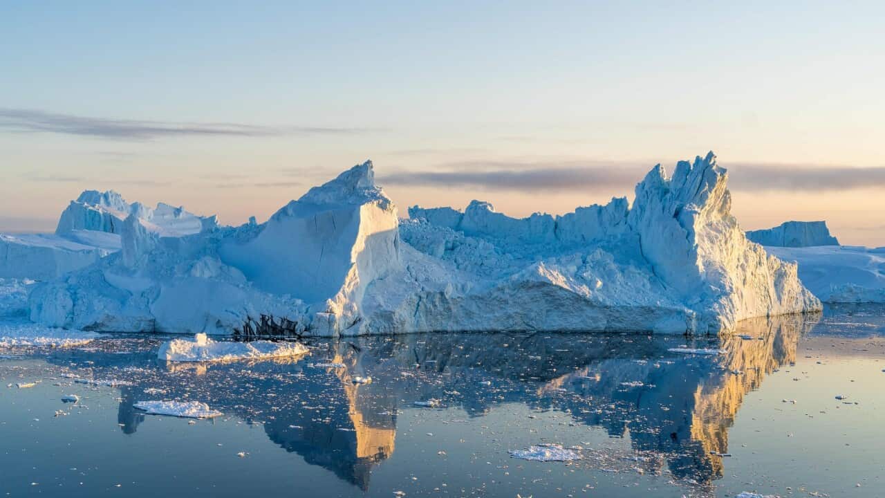 Icebergs In Greenland