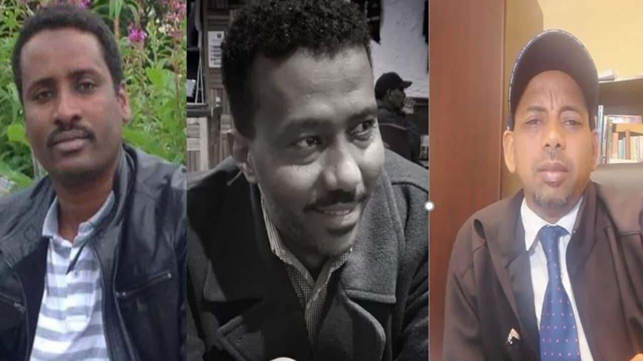 Eritrean views on Tigray war