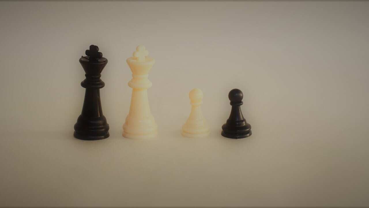 Photograph of some chess pieces that distinguish a homoparental family composed of two parents and two children