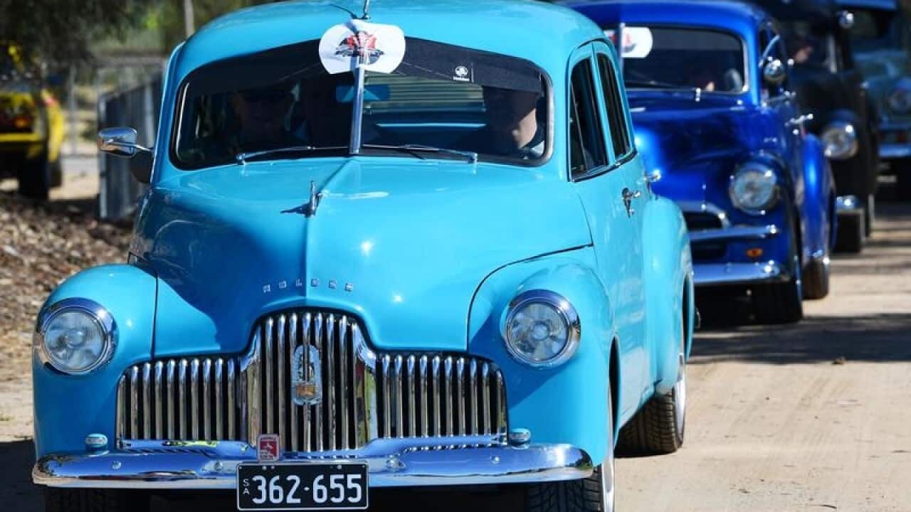 Historic Holdens are seen cruising during a parade