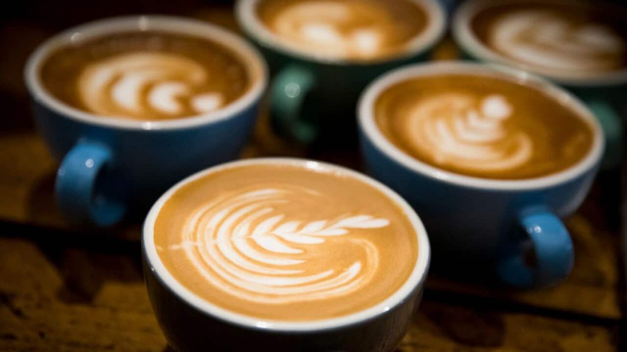 Our caffeine sensitivity is determined by how efficient our body is in processing and metabolising caffeine.