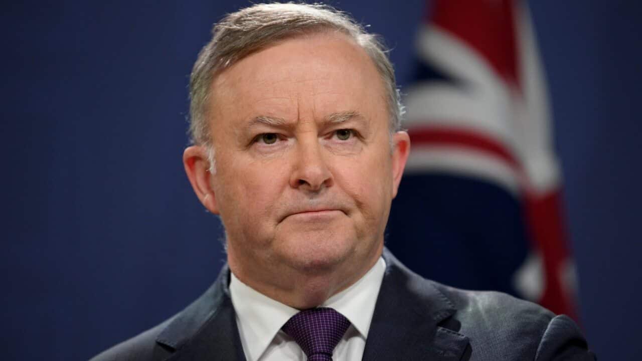 Opposition Leader Anthony Albanese during a press conference.