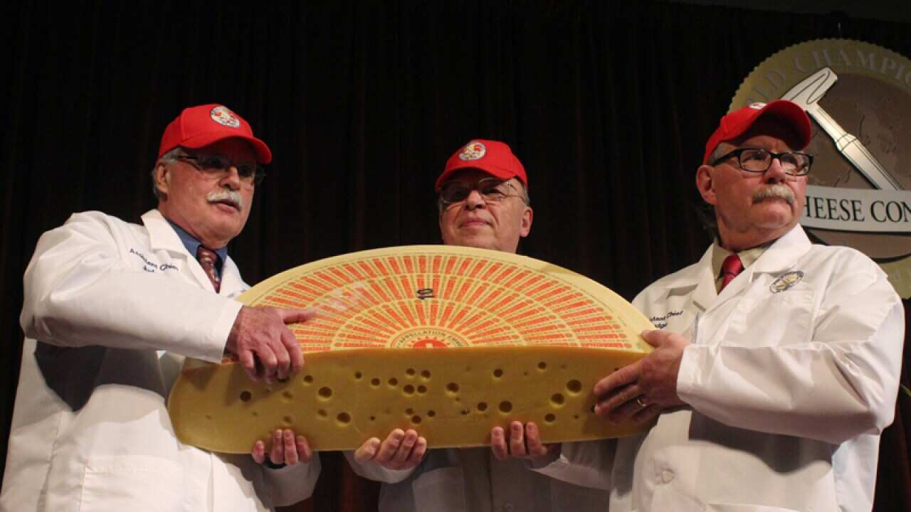 Judges hold a Swiss Emmentaler at the World Cheese Championship